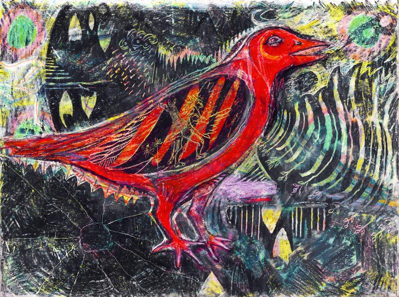 Dark Bird